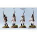 Napoleonic Austrian Infantry